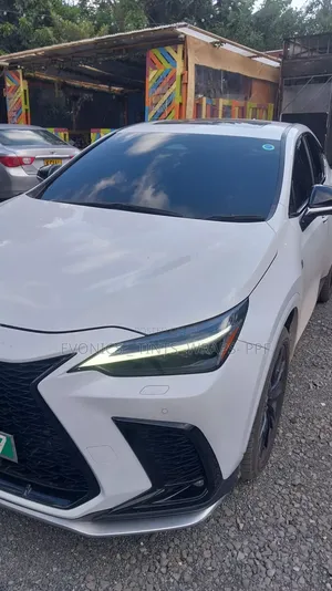 Ceramic Car Tinting