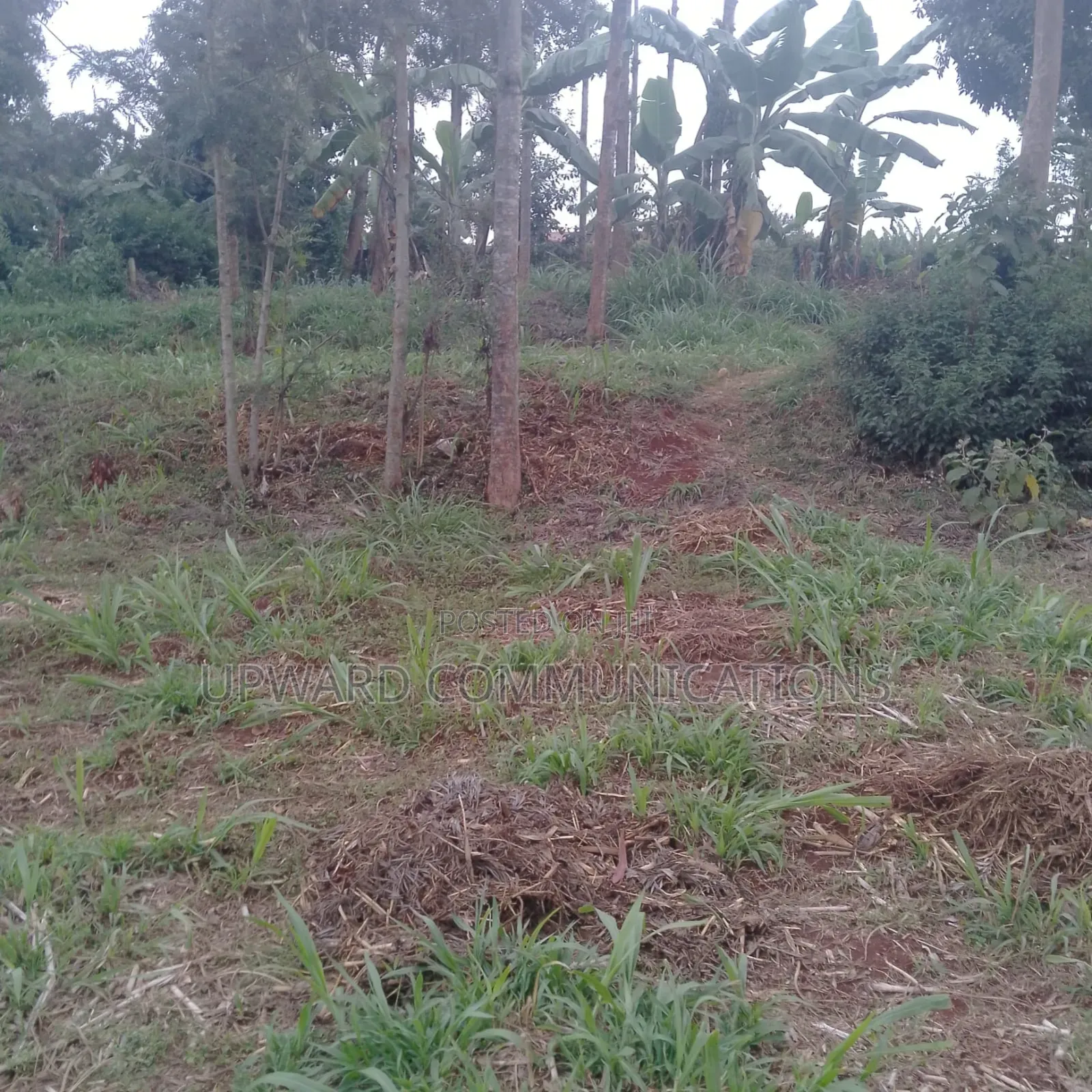 Prime 1 Acre for Sale Kianjogu