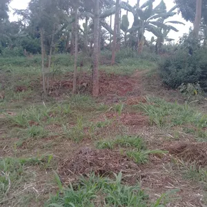 Prime 1 Acre for Sale Kianjogu