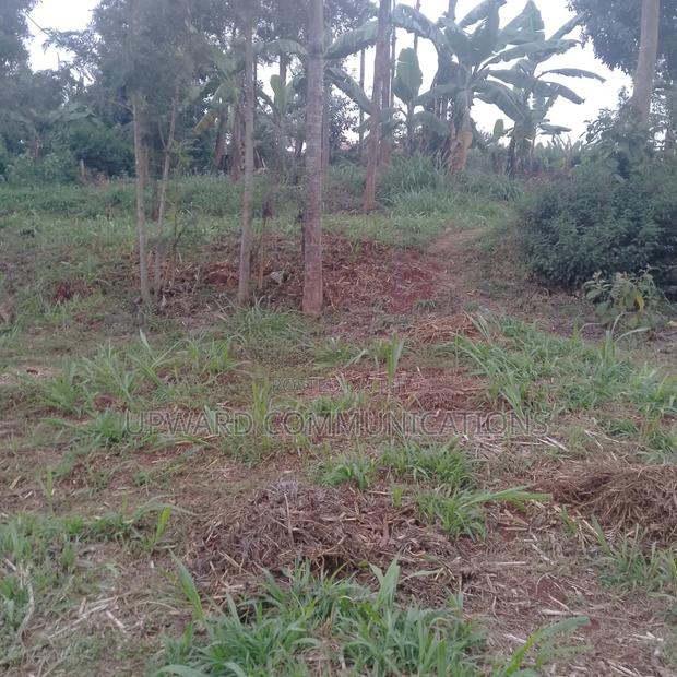 Prime 1 Acre for Sale Kianjogu - thumbnail 3