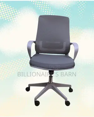 Stylish Mesh Lumbar | Plush | Order Yours Today