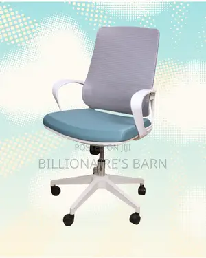 Executive Lumbar Imported | Support | Comfort Meets Style