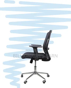 Ergonomic Mid-Back Chair With Chrome Base | Sleek Design, Strong Build