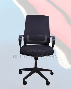 Comfort Chair Ergonomic | Office | Order Yours Today