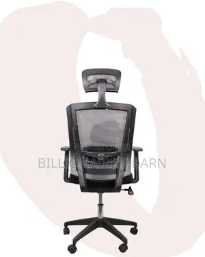 Breathable Mesh Chair For Long Hours| Budget-friendly Ergonomic Choice