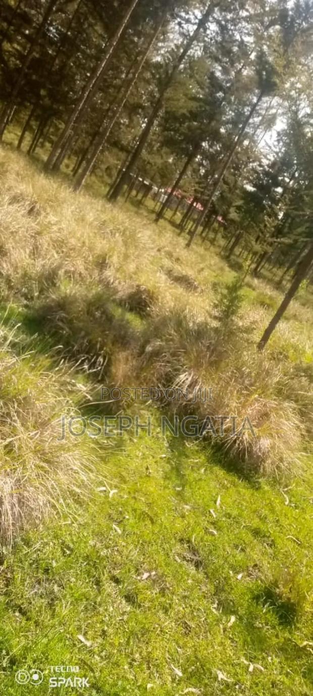 5 Acres on Quick Sale - main view