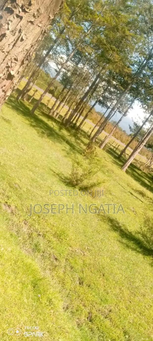 5 Acres on Quick Sale - thumbnail 2