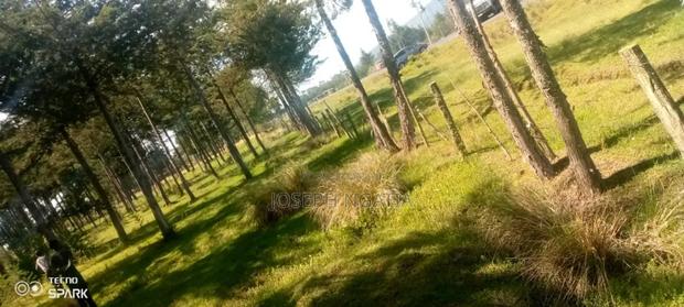 5 Acres on Quick Sale - thumbnail 3