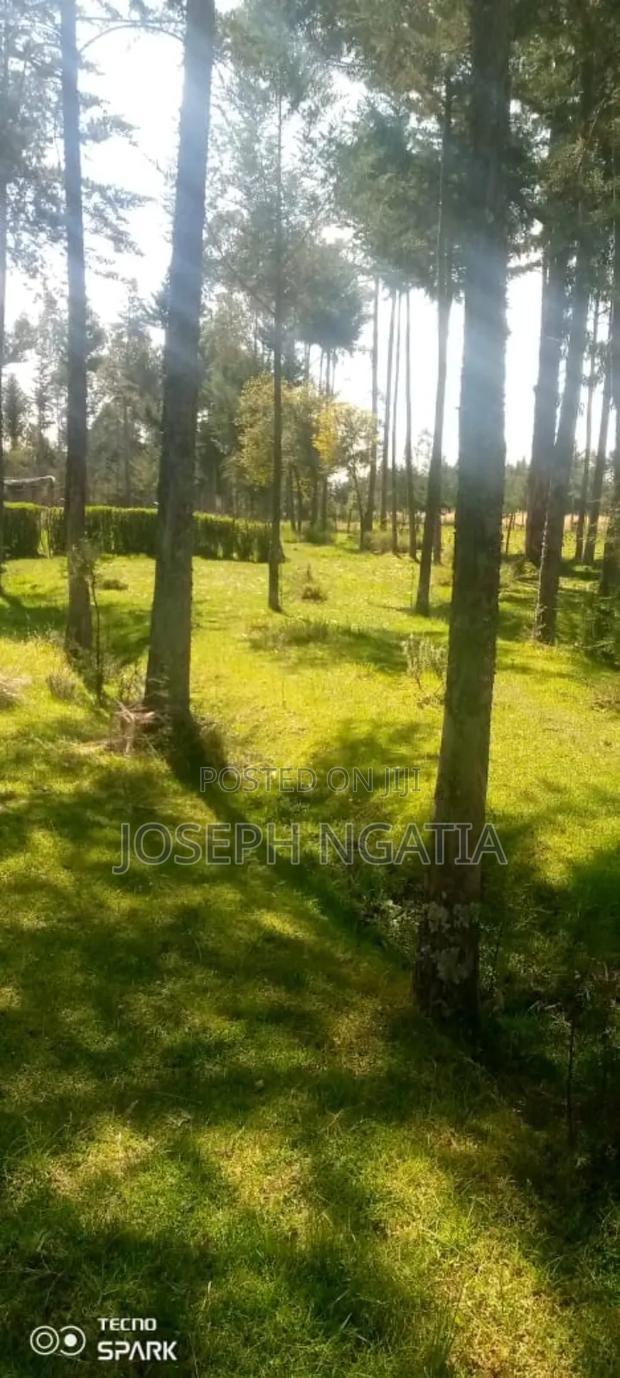 5 Acres on Quick Sale - thumbnail 4