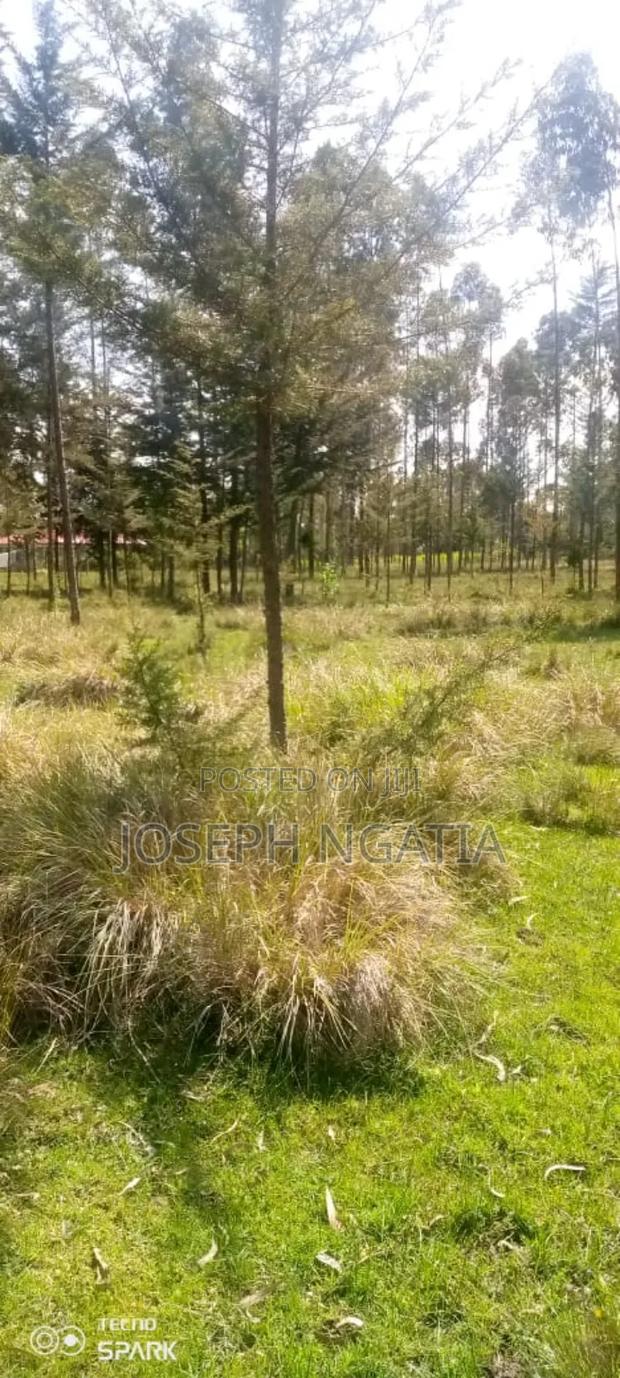5 Acres on Quick Sale - thumbnail 6