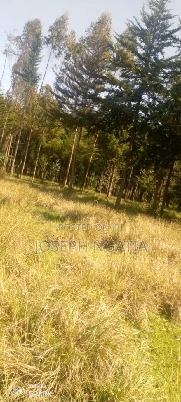 5 Acres on Quick Sale - thumbnail 7