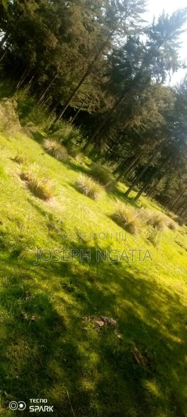 5 Acres on Quick Sale - thumbnail 8