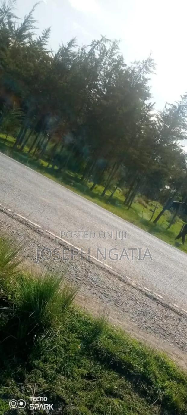 5 Acres on Quick Sale - thumbnail 11