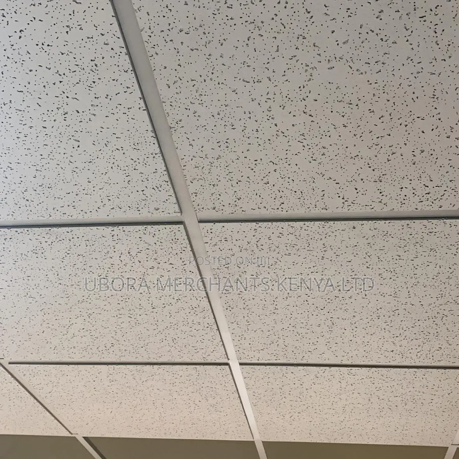High Grade Acoustic Ceiling With Accessories