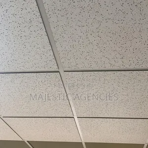 High Grade Acoustic Ceiling With Accessories