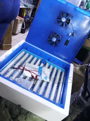 Automatic Egg Incubator 64 Eggs