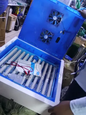 Automatic Egg Incubator 64 Eggs