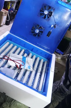 Dc Automatic 64 Egg Incubator Available