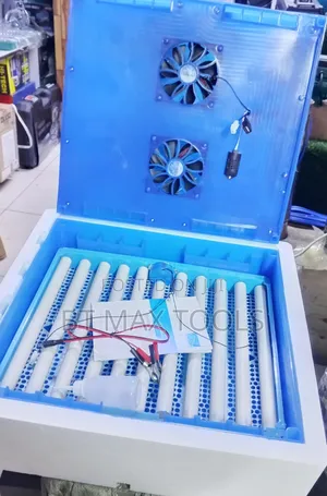 Dc Automatic 64 Egg Incubator Available