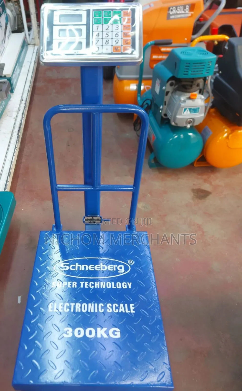 Schneeberg 300kg Digital Platform Scale/300kg Digital Weighing Scale