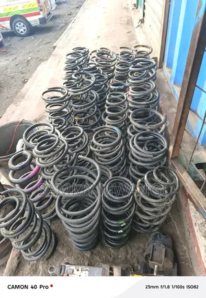 Toyota Mark X Zio Heavy Duty Coil Spring 2500each