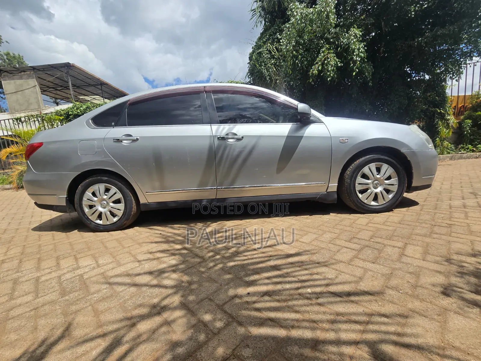 Nissan Sylphy 2009 Gray