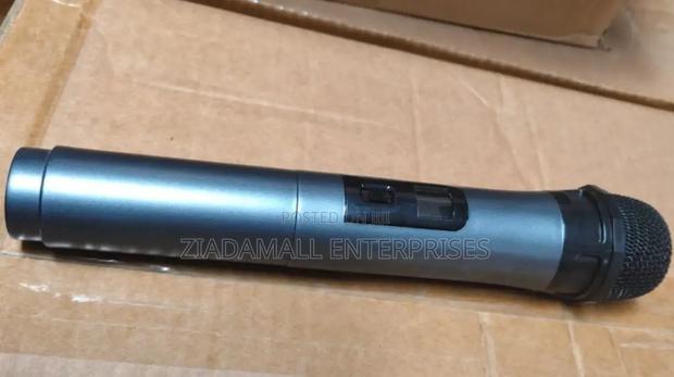 Tagwood Wireless Microphone 12b Superior Sound