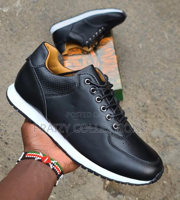 Timberland Casuals Shoes