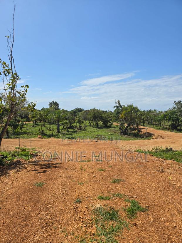 Tulivu Gardens Diani: Own 1/8 Acre Near The Beach! Soft Life Living - thumbnail 2