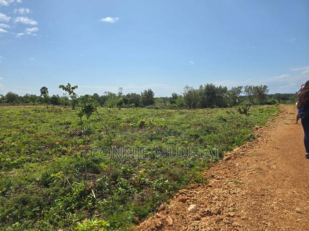 Tulivu Gardens Diani: Own 1/8 Acre Near The Beach! Soft Life Living - thumbnail 3