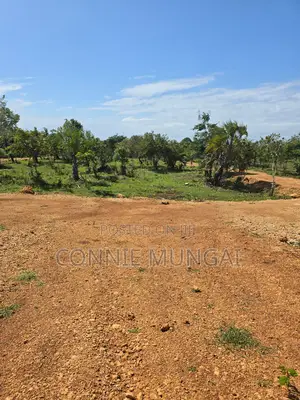 Tulivu Gardens Diani: Own 1/8 Acre Near The Beach! Soft Life Living