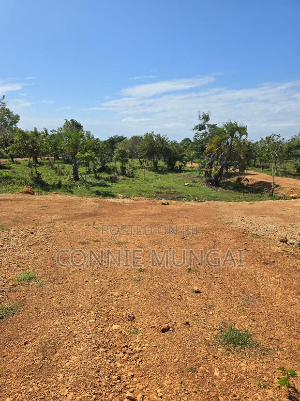 Tulivu Gardens Diani: Own 1/8 Acre Near The Beach! Soft Life Living - thumbnail 4