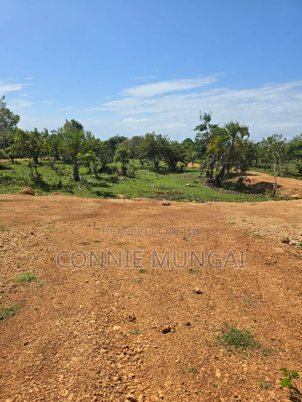 Tulivu Gardens Diani: Own 1/8 Acre Near The Beach! Soft Life Living