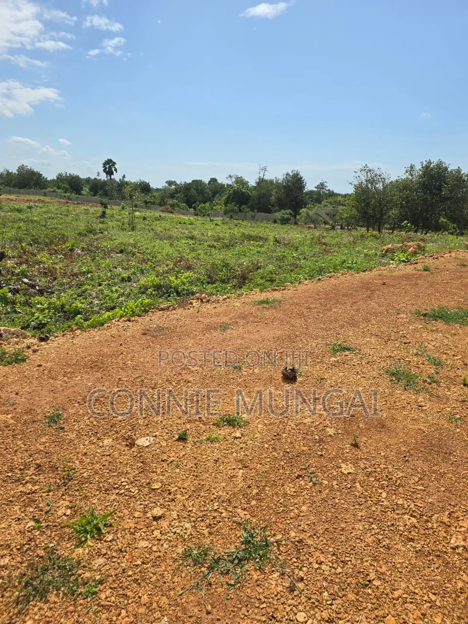 Tulivu Gardens Diani: Own 1/8 Acre Near The Beach! Soft Life Living