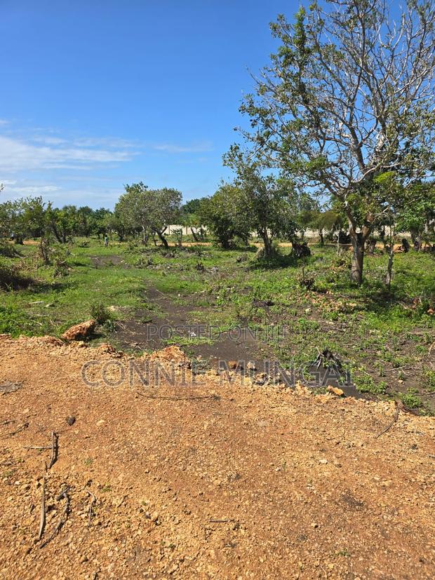 Tulivu Gardens Diani: Own 1/8 Acre Near The Beach! Soft Life Living - thumbnail 7