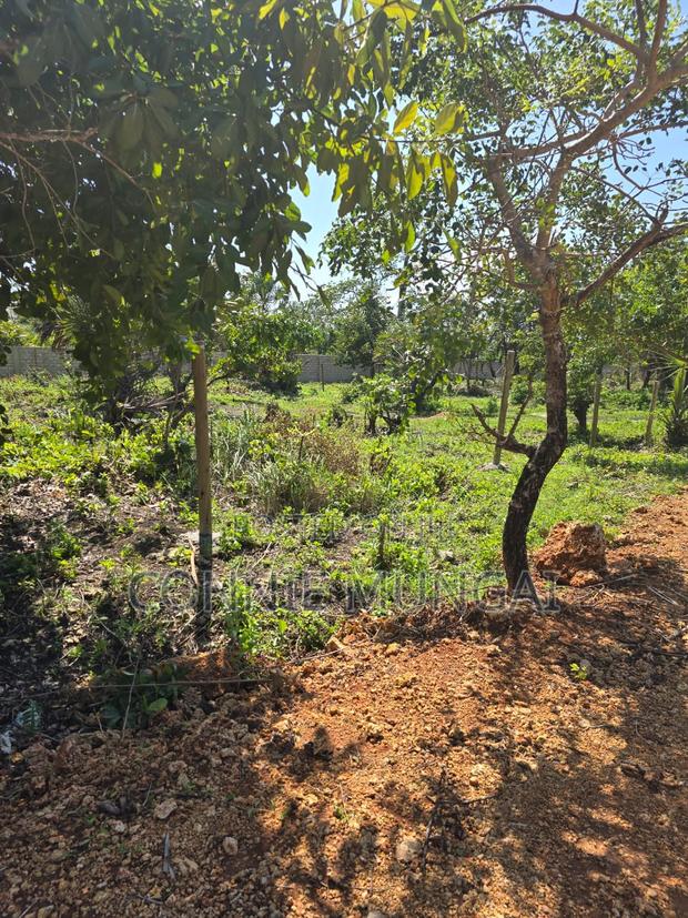 Tulivu Gardens Diani: Own 1/8 Acre Near The Beach! Soft Life Living - thumbnail 9