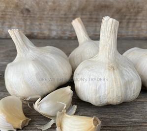 Premium White Garlic 420/Kg - thumbnail 2
