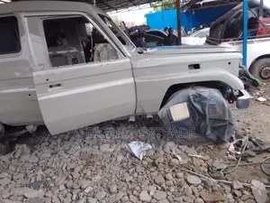Toyota Land Cruiser 2002 Gray