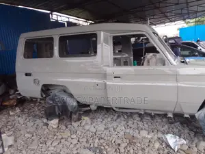 Toyota Land Cruiser 2002 Gray