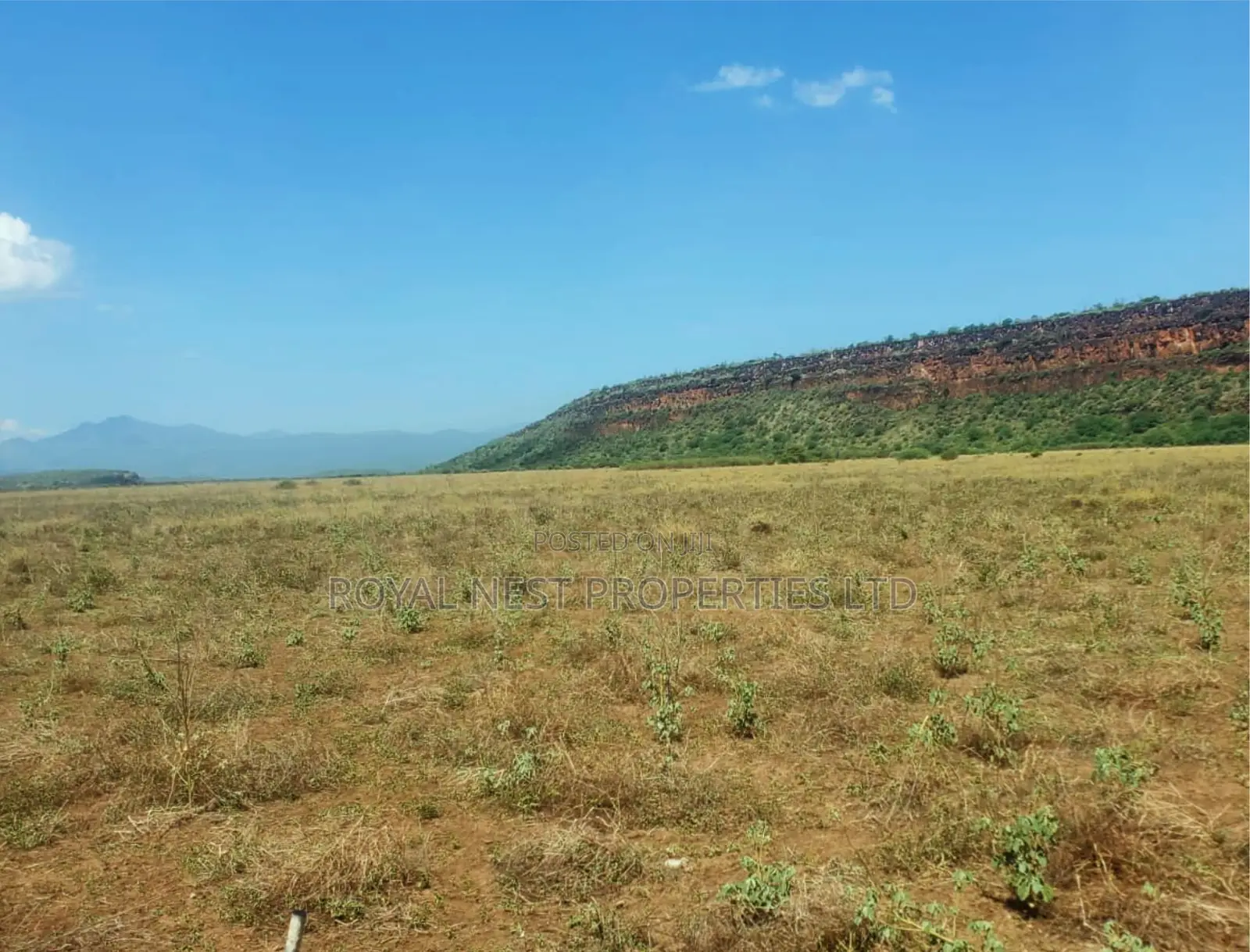 One Acre of Land for Sale in Oletepesi / Tinga