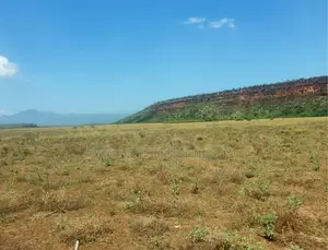One Acre of Land for Sale in Oletepesi / Tinga