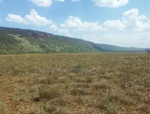 One Acre of Land for Sale in Oletepesi / Tinga