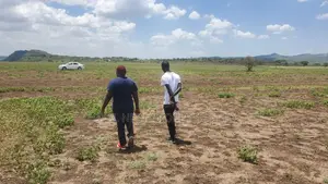 One Acre of Land for Sale in Oletepesi / Tinga
