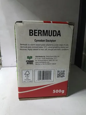 Bermuda Lawn Grass Seeds ( Cynodon Dactylon)