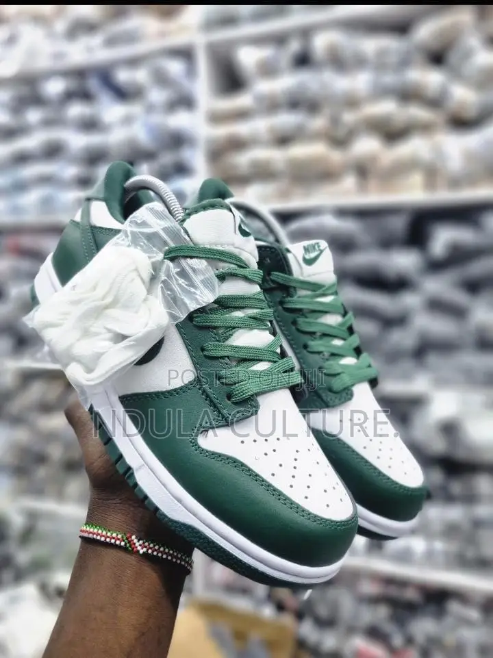 Nike Sb Dunk Shoes