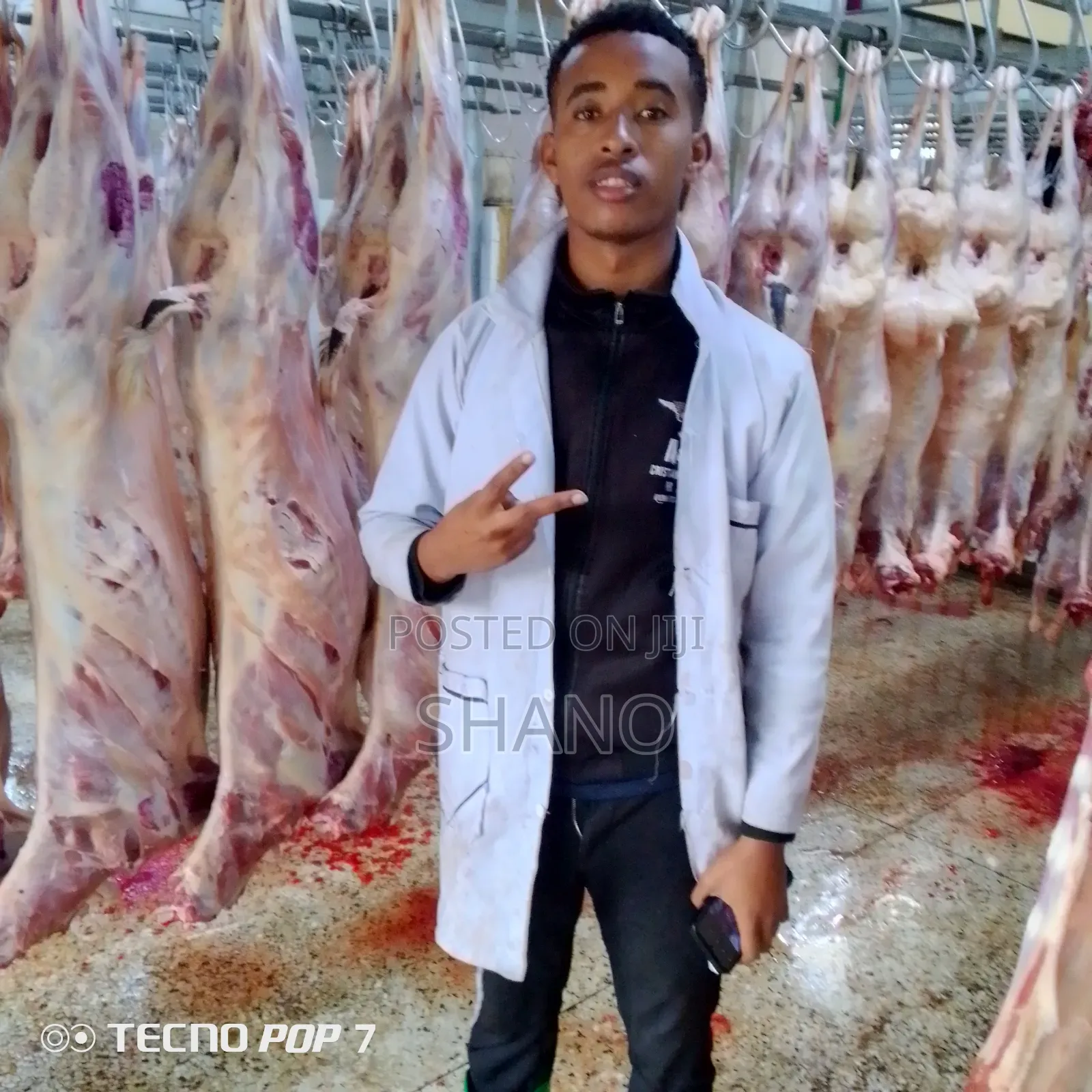 Mutton Meat