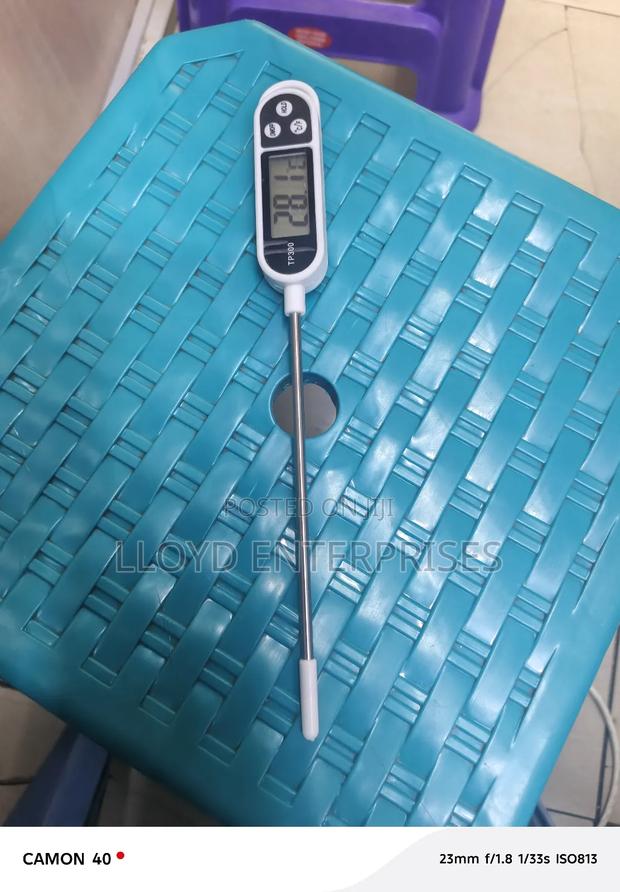 Food Thermometer - main view