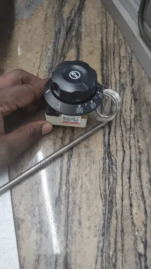 Chips Frier Thermostat Switch 500°
