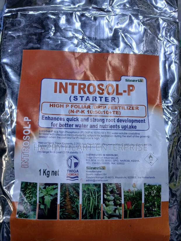 Introsol -p (Starter) 1kg