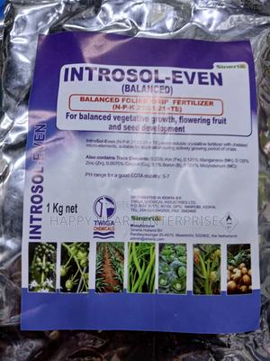 Introsol- Even (Balanced) 1kg - thumbnail 2